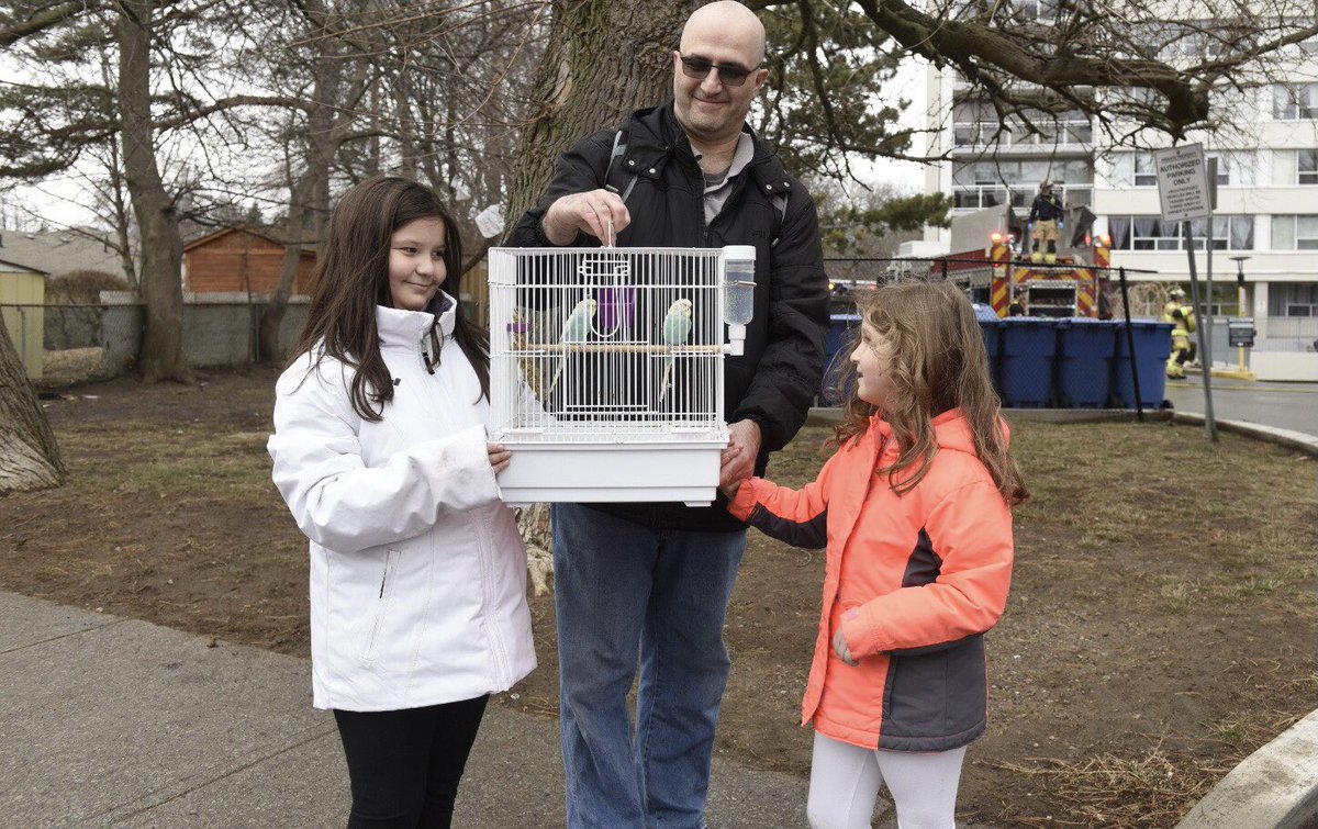 GPmedia_24's tweet image. HIGH RISE APT FIRE: @oakvillefire o/s highrise apt fire(16th floor) Queen Mary Dr. entire bldg evacuated — over dozen seeking shelter w/pets in @oakvilletransit bus. Fire now out, No injuries reported residents up to  14th floor allowed back in. Fire investigators &amp;amp;  @HRPSOak o/s