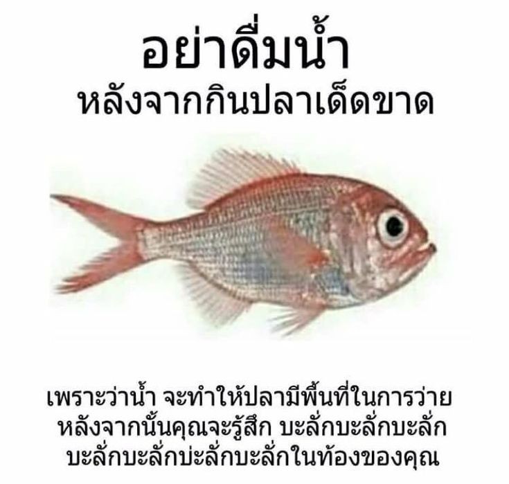 <a href="/lordpline/">น้องปลายอยากกินมาการองร้านนั้นꔛ</a> บะลั่กไๆๆๆๆ