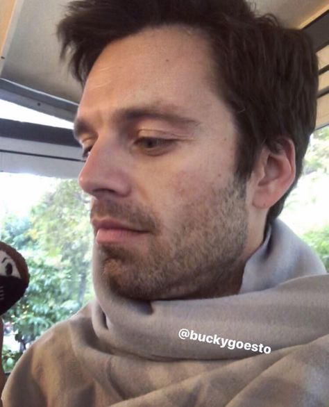 stanphoria's tweet photo. a seb nose appreciation post (a🧵) https://t.co/vlP9TuYftB