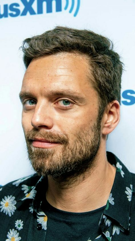 stanphoria's tweet photo. a seb nose appreciation post (a🧵) https://t.co/vlP9TuYftB