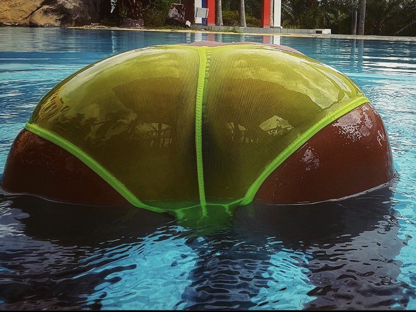 speedoaddicted's tweet photo. #surfman https://t.co/rwJk2Bd9Ab