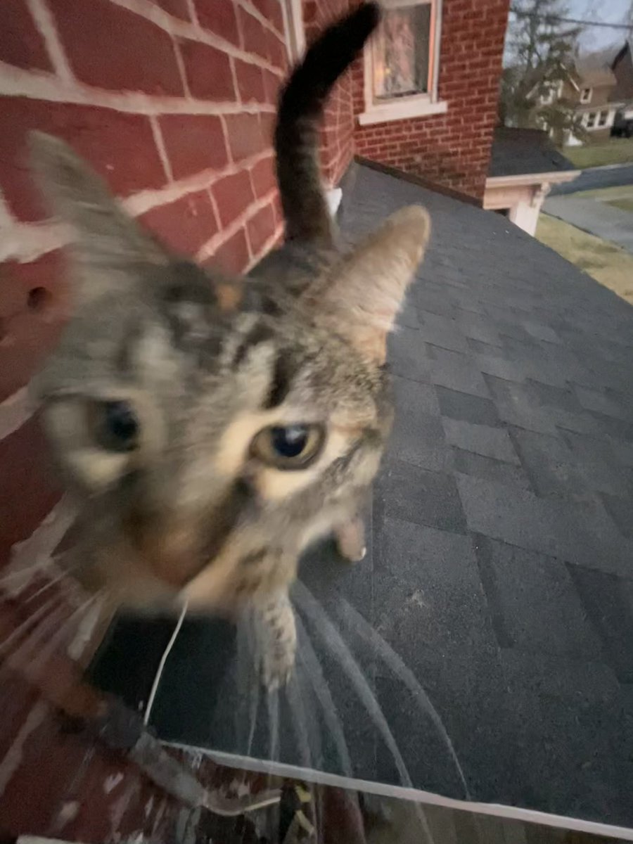 suhsiedot's tweet photo. she’s coming for u https://t.co/c7HzHmp36U