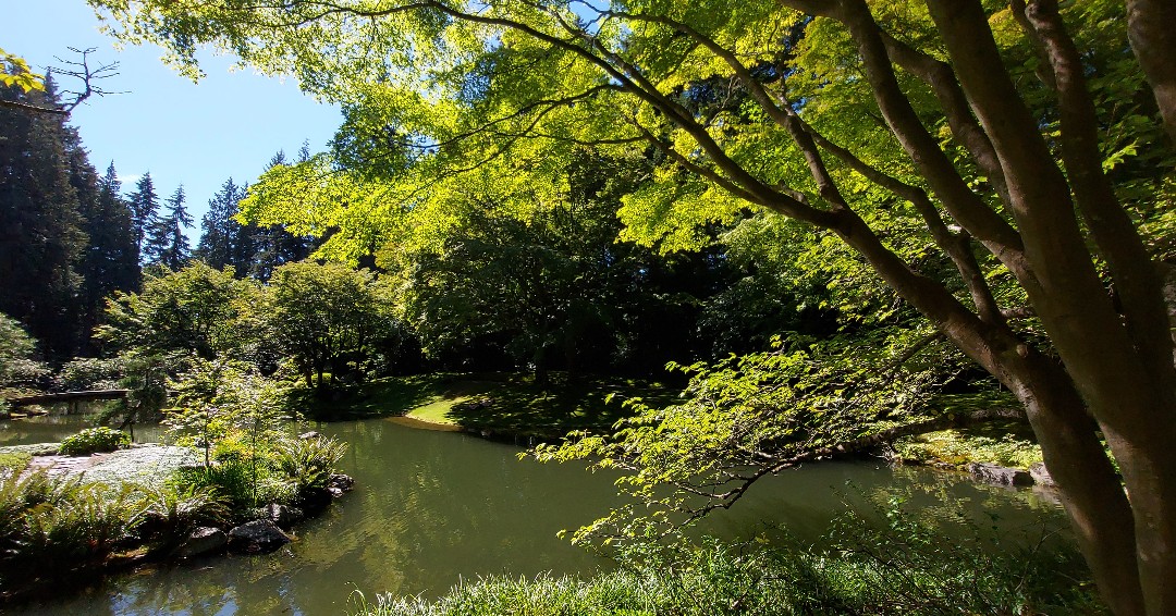 "Small and beautiful garden. Very peaceful" -Chantal

Nitobe Memorial Garden is currently closed due to weather conditions but will open again on January 4th from 10 am - 2 pm.

📸: Hayley Yip, Volunteer

#nitobegarden #japanesegarden