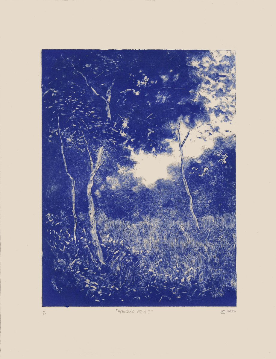 LuisColanArt's tweet photo. Recent monotypes…entering my blue period lol
#monotype #monotipo #printmaking #worksonpaper #fineart #artwork #landscape #prints #luiscolan https://t.co/ZsGZm3sBLS