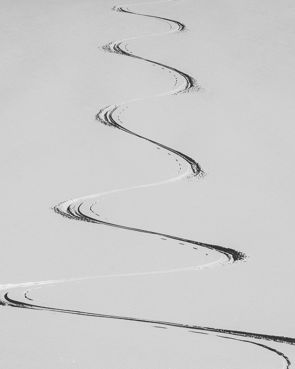 jimkchin's tweet photo. Life affirming... https://t.co/O2gdq7qv9C