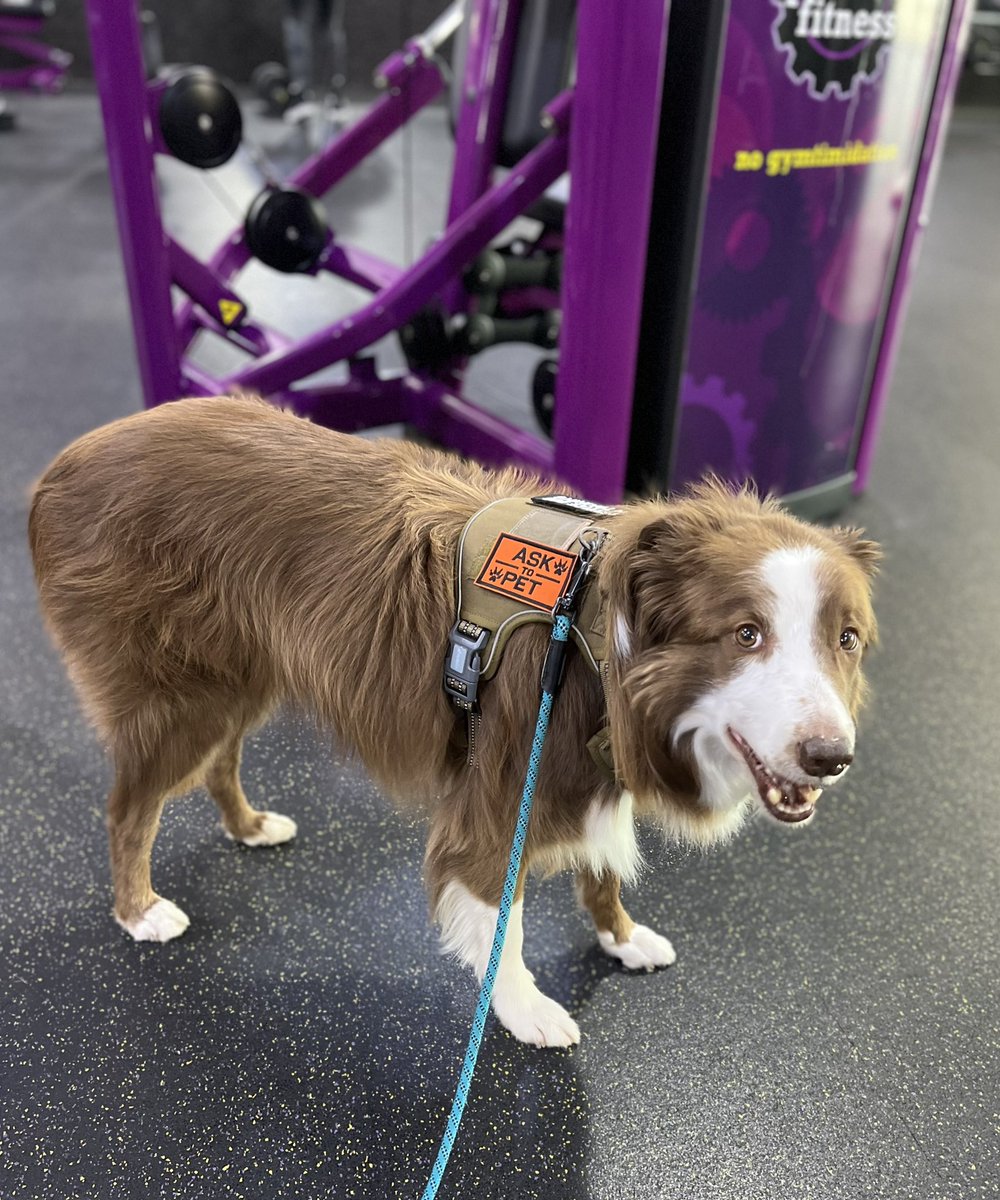 Getting in some exercise with my workout buddy 🐾 #goodvibes