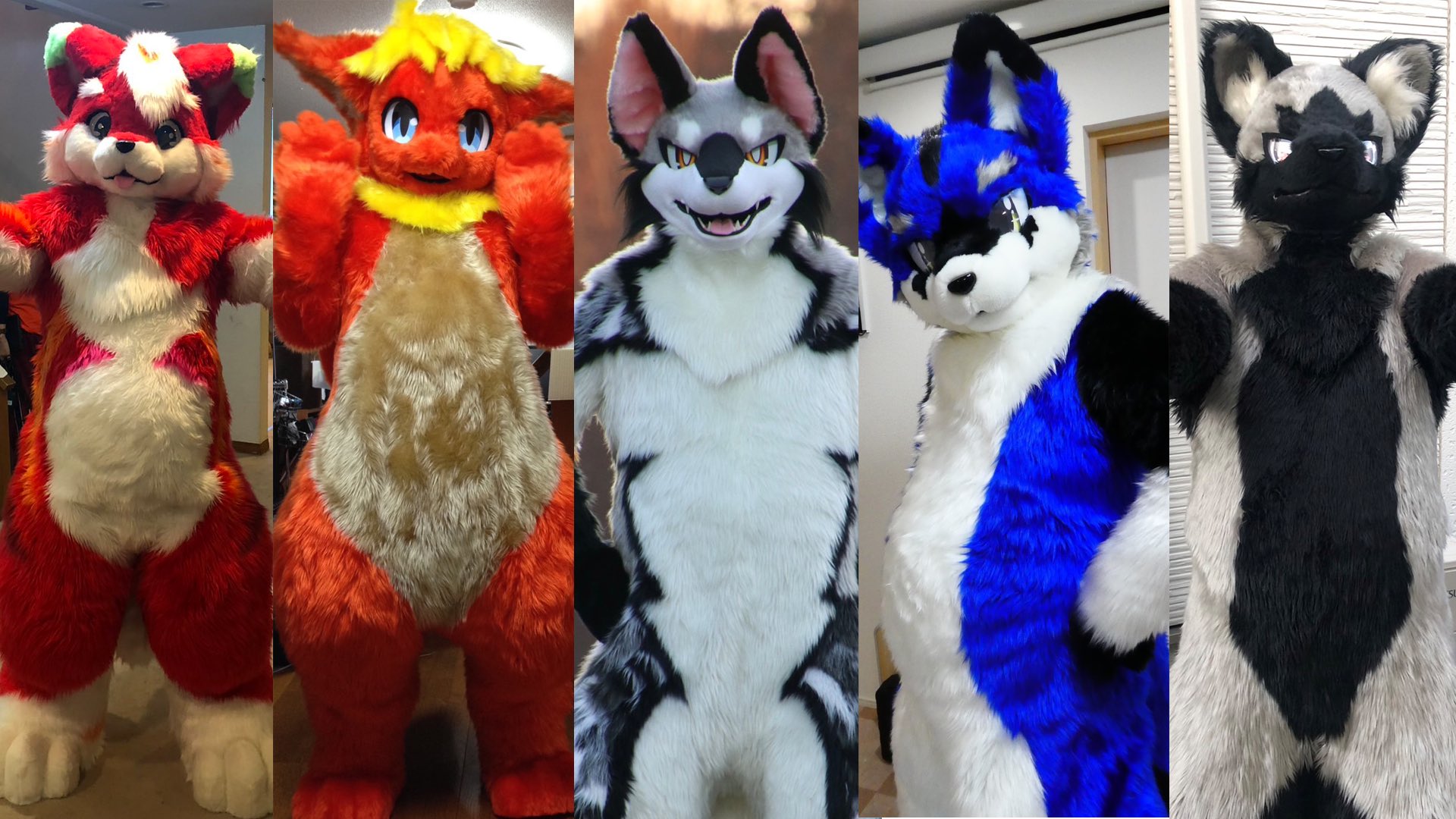 こぼる(銀三-Ginzo-)@vbcobol-dragon.bsky.social こぼる(銀三-Ginzo-)@vbcobol-dragon.bsky.social