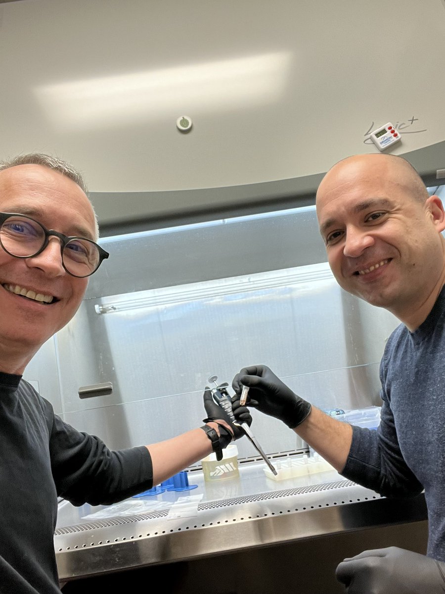 Weitzman Lab tweet media