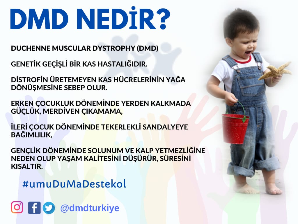 dmdyokol's tweet photo. #DMD2023teBitsin
@RTErdogan @saglikbakanligi @tebkurumsal @sgksosyalmedya @tcbestepe @Akparti  @drfahrettinkoca 2023'te görmezden geldiğiniz çocukları görmeniz dileğiyle https://t.co/et4KzZDy1L