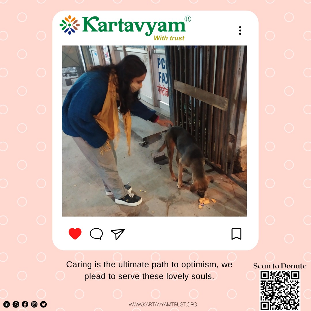 KartavyamWith's tweet photo. Scattered are those who are left alone! 
Let's shelter and adopt them for their prosperity✨
.
.
.
#adoptapuppy #spreadingawareness #help #humanity #donated #india https://t.co/JxZmvpjGOH