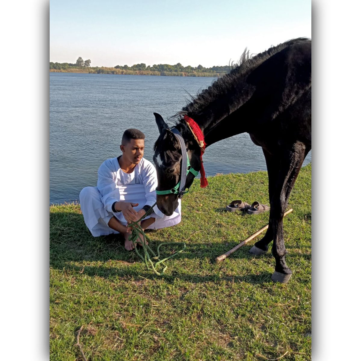 AminFatahalla's tweet photo. #صورة_ملف_شخصي_جديدة
وما قصرْتُ في وصلٍ ولكن
يموتُ الودُّ من طول الجفا https://t.co/Kqs6muLt73