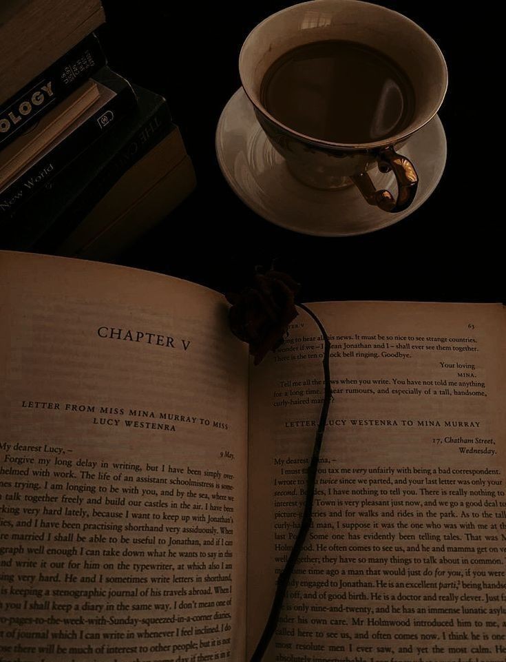 stemartez's tweet photo. ✧⁠* Leituras concluídas de 2023 ♡ 
        
 ʚ | vou incluir livros e manhwa | ɞ

 𝙴𝚖 𝚚𝚞𝚊𝚗𝚝𝚘𝚜 𝚕𝚒𝚟𝚛𝚘𝚜 𝚖𝚎 𝚊𝚏𝚘𝚐𝚞𝚎𝚒 
𝙿𝚊𝚛𝚊 𝚎𝚗𝚝𝚎𝚗𝚍𝚎𝚛 
𝚚𝚞𝚎 𝚗𝚊𝚍𝚊 𝚙𝚘𝚍𝚎 𝚍𝚘𝚎𝚛 𝚖𝚊𝚒𝚜
𝚍𝚘 𝚚𝚞𝚎 𝚊 𝚖𝚒𝚗𝚑𝚊 𝚙𝚛𝚘𝚙𝚛𝚒𝚊 𝚛𝚎𝚊𝚕𝚒𝚍𝚊𝚍𝚎 https://t.co/ZRWW7LpdBK