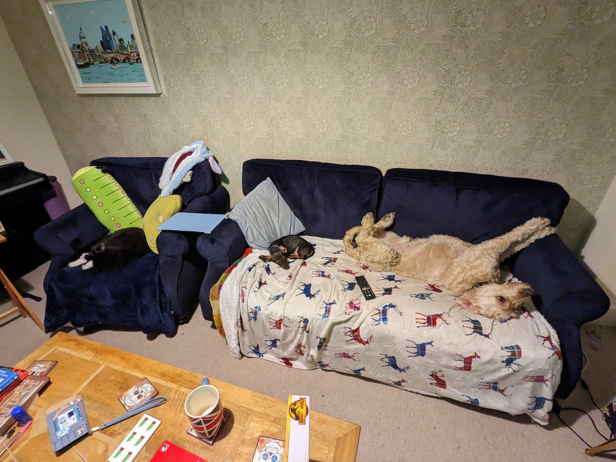 TestingChef's tweet image. Question: Where the fuck am I supposed to sit?