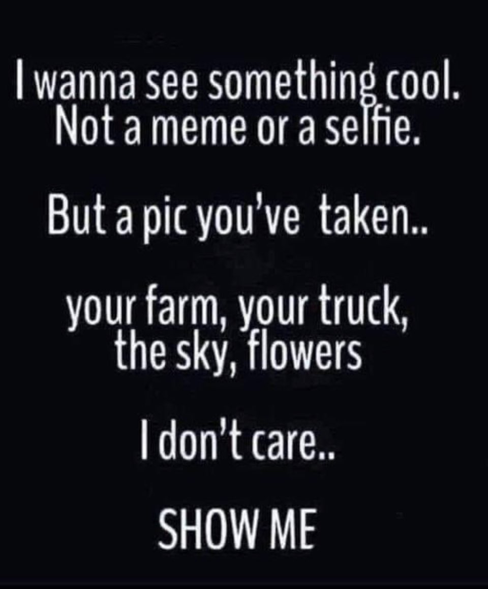 𝑴𝒆𝒈𝒉𝒂𝒏 tweet media