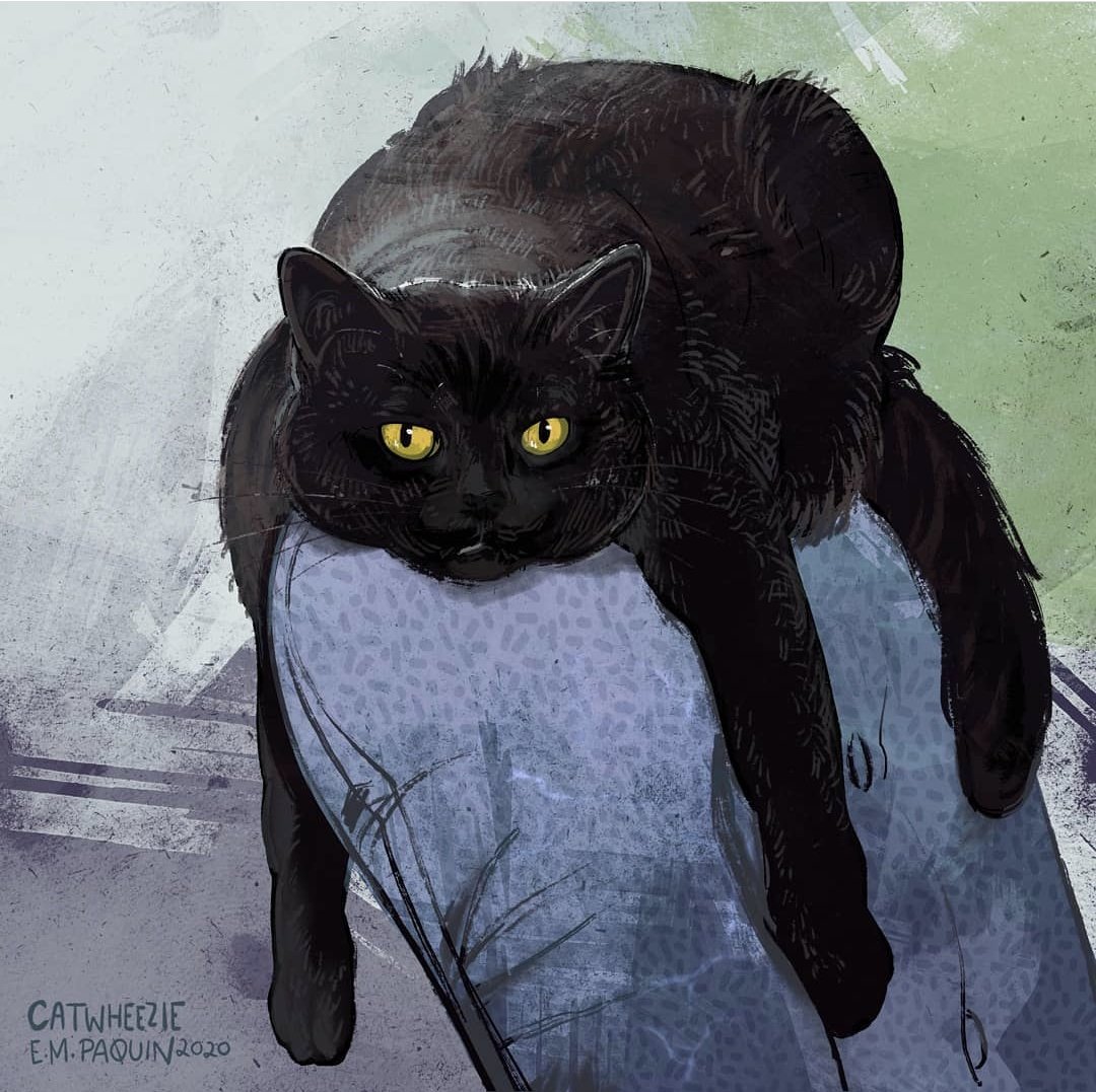 catwheezie's tweet image. I love it when they do this with their legs look at dis leggy boi so many legs (+tail) cat drawing 109!