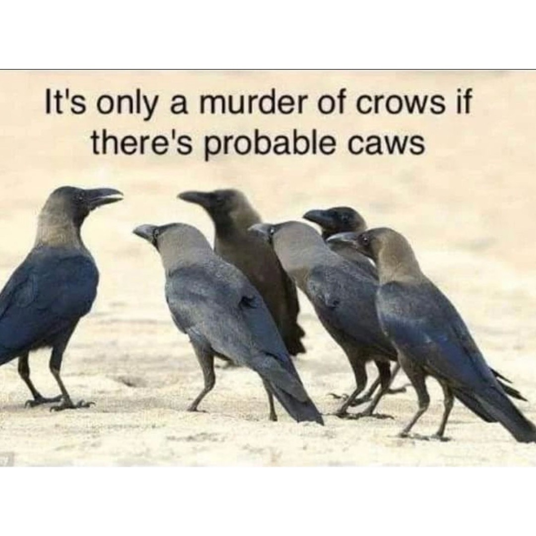 scrappymomPI's tweet photo. FRIDAY FUNNY! #pihumor https://t.co/wWOr0inMWD