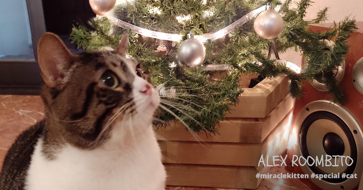 Alex Roombito desea a tod@s un muy Feliz Felino 2023 💗🕛🍇🥂🎉

Alex Roombito wishes you all a happy furry 2023 
💗🕛🍇🥂🎉...