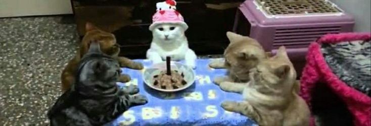 Hilo de preguntas sobre tu gc

  • Pueden responderlo entre ustedes o individual ya q 

rt