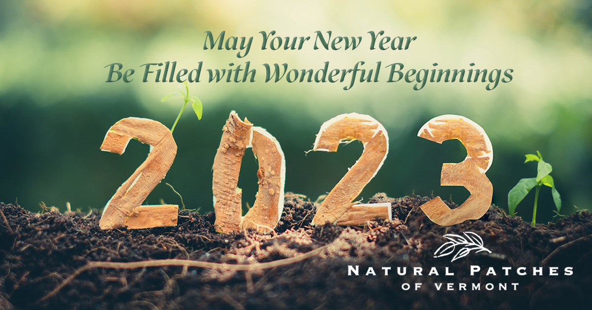 NaturalPatches's tweet photo. Here's to a bright New Year and to the things that are yet to come, and to the memories that we hold dear. Happy New Year everyone! #happynewyear2023 #newbeginnings https://t.co/t4dPnR4Tvu