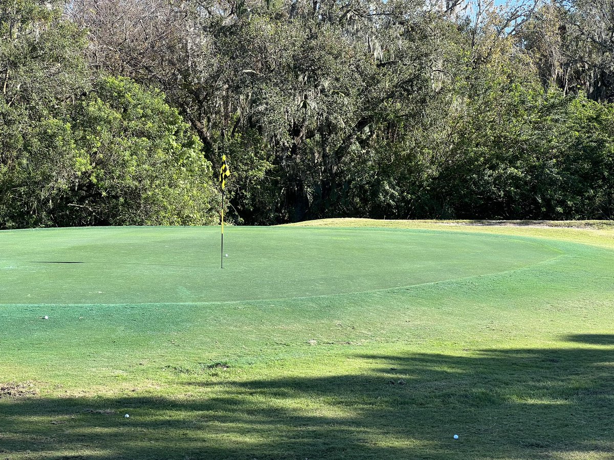 Played on painted greens in Florida yesterday, first time ever. Entire course a mess,
