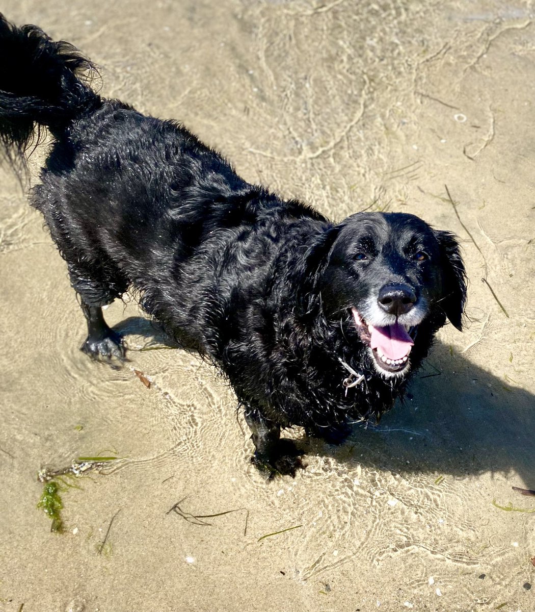 doe 🦅 tweet media