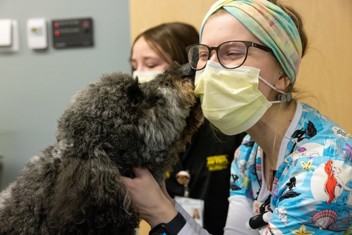 UI Health Care Stead Family Children's Hospital tweet media