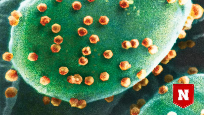 ojcius's tweet photo. #virovore discovered:
In water samples with no other food source for the ciliates, #Halteria populations grew by ~15 times within 2 days, while chlorovirus levels dropped 100-fold. In control samples without the virus, Halteria didn’t grow at all.
https://t.co/UMe4ycA68u https://t.co/SR5sMVGcLu