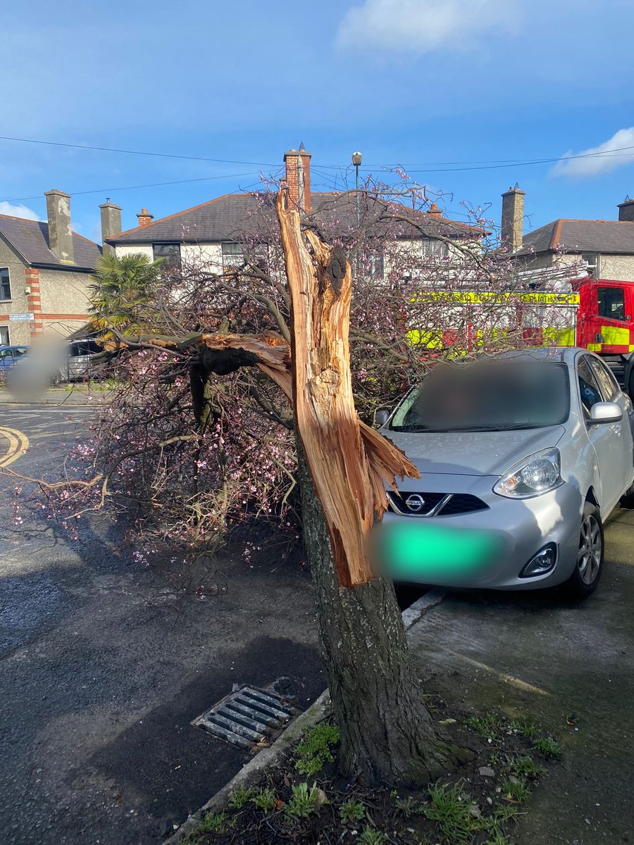 DubFireBrigade's tweet image. #YearInReview February

#StormEunice led to numerous calls for assistance including this one. As it happened there was no damage to the car despite appearances