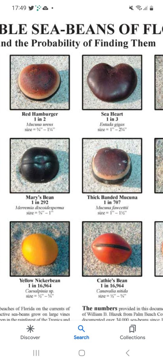 stuart galsworthy tweet media