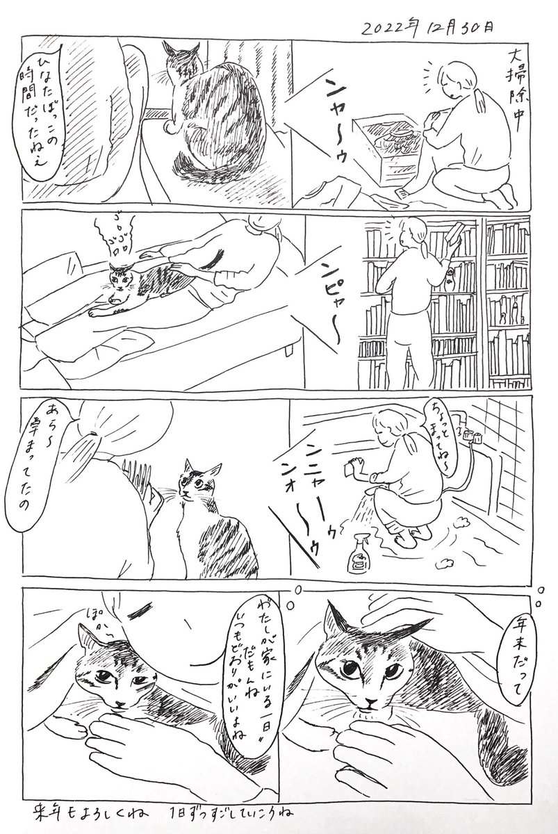 2022/12/30のぎんちゃん #今日のぎんちゃん 