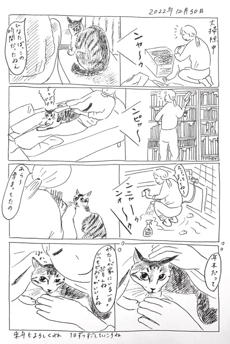 2022/12/30のぎんちゃん #今日のぎんちゃん 