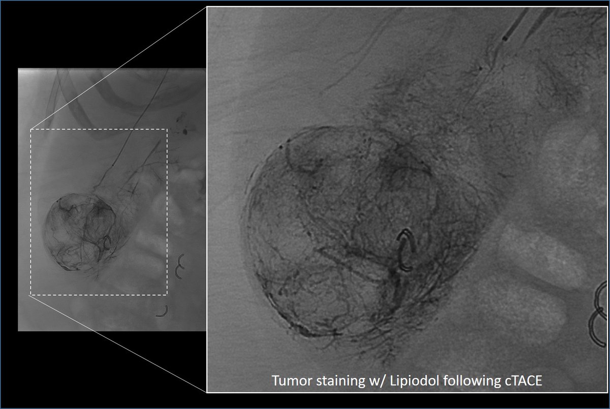 Jamaal B tweet media