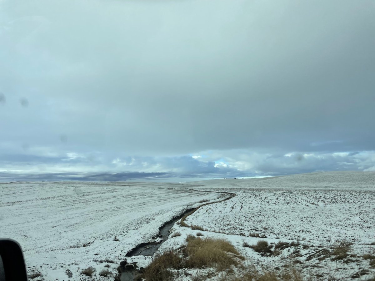 A new day dawning in Moscow. Thank you Moscow PD and LE.