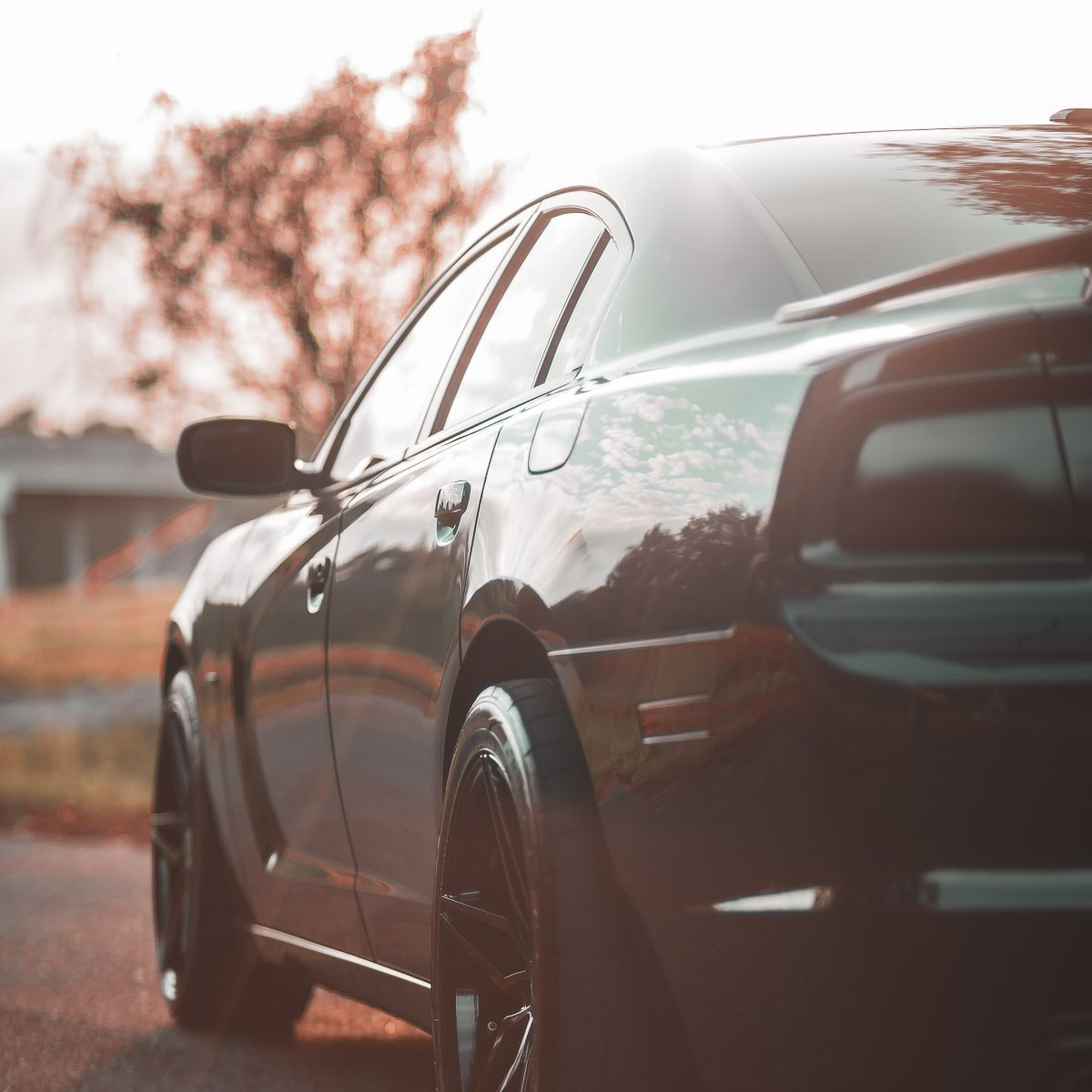 GTPeaceAuto's tweet photo. Don’t drive into the new year with the same old vehicle problems. Let GT Peace Automotive prepare your car for 2023 with the peace of mind you deserve. https://t.co/MSy88YjZq4