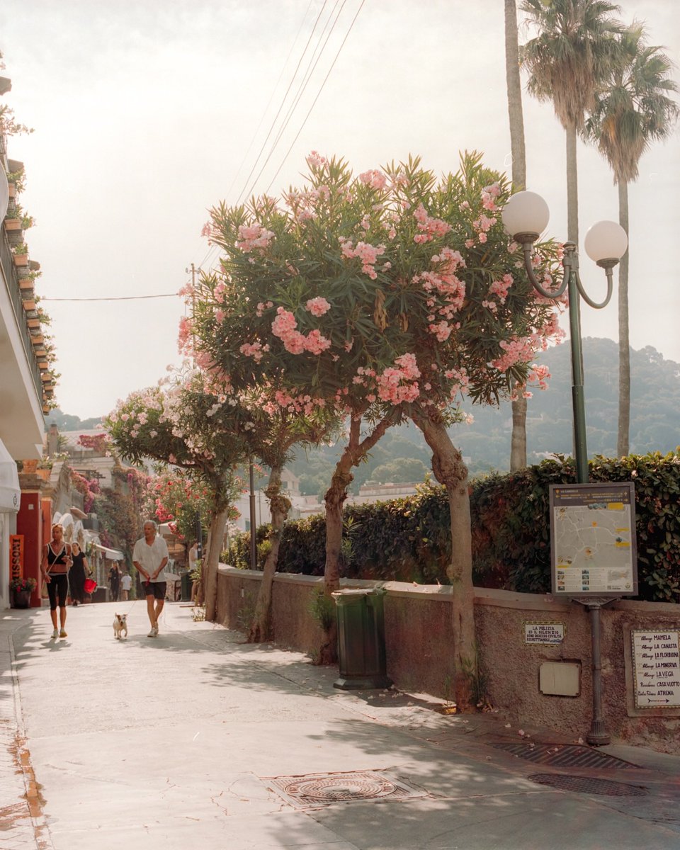 lightistic's tweet photo. Italy on film https://t.co/hnu8PGyoP1