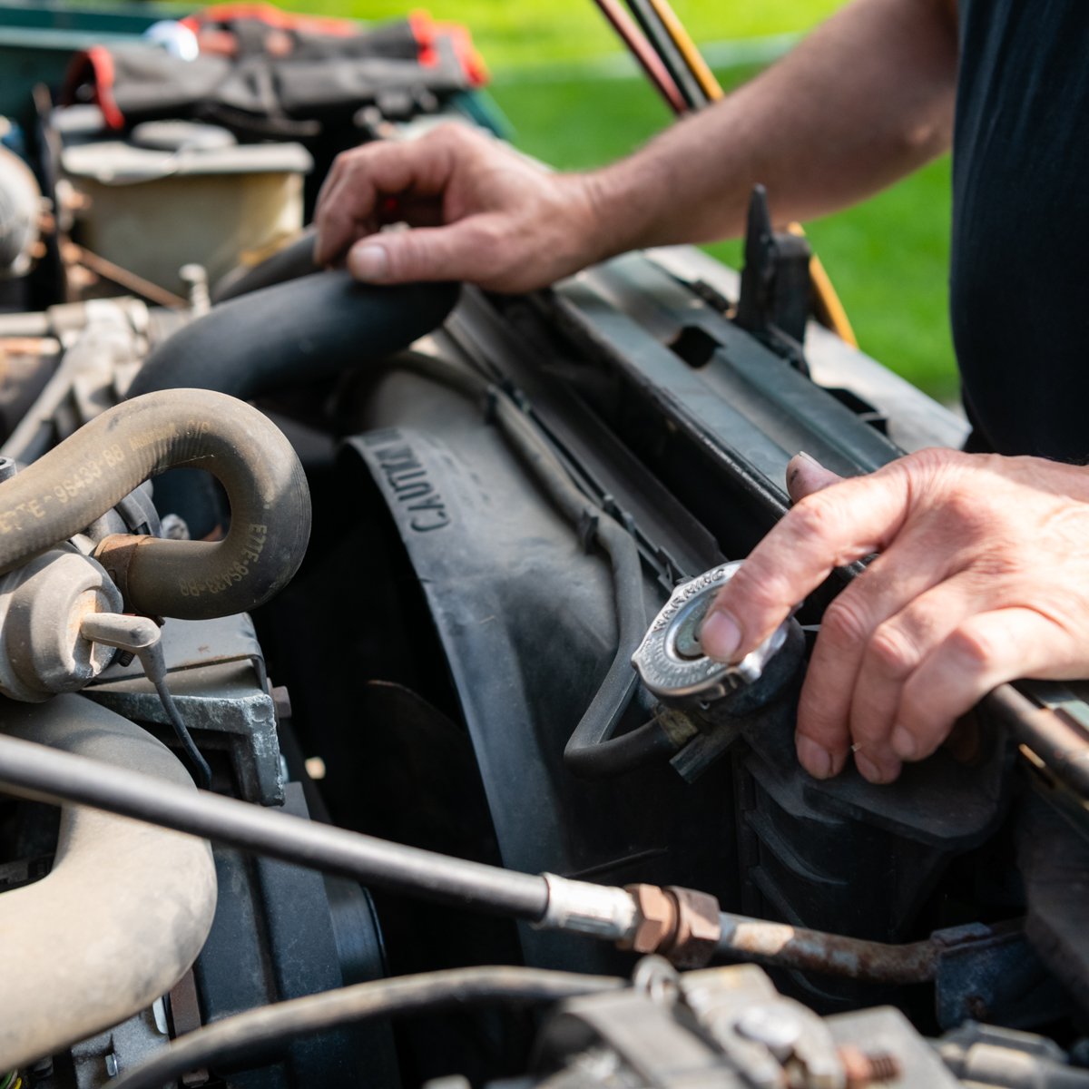 Brownie's Auto tweet media