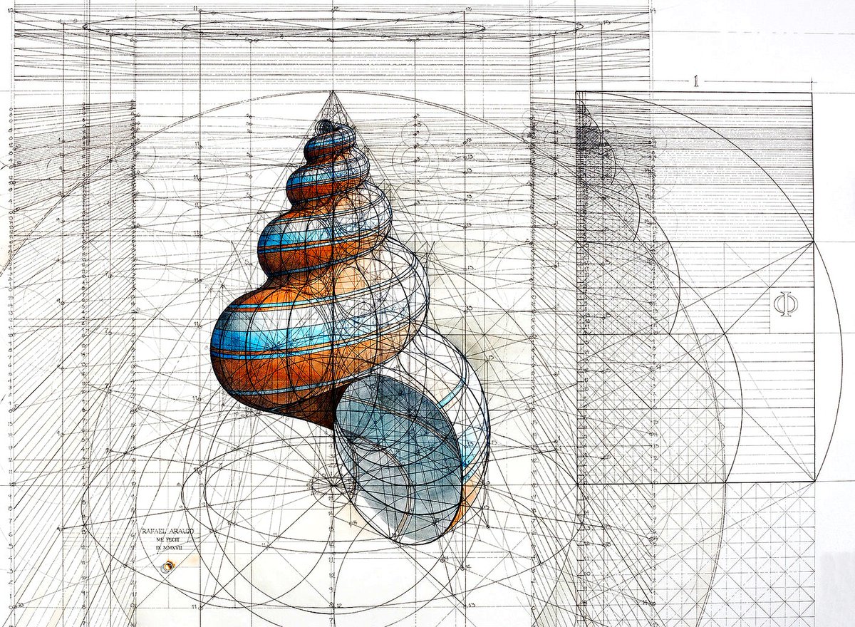 pickover's tweet photo. Mathematics, biology, beauty.

By architect Rafael Araujo, @rafaela31416, https://t.co/89dBQxqhLM, Used with permission. https://t.co/unlpHl1Agl