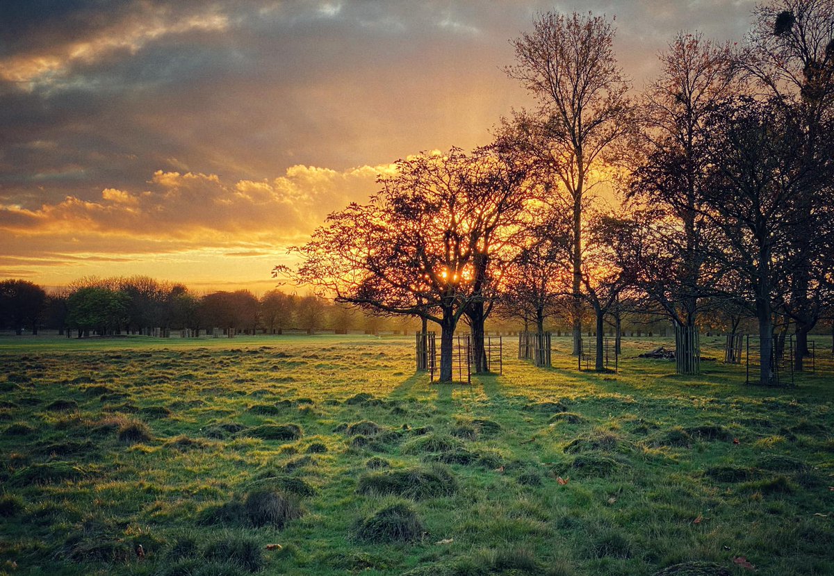 Absolutely love this shot by Steve Jaipaul. 

Check out Kingston Photography Enthusiasts on Facebook if you haven’t already! 📸 There are some great pics capturing the end of the year. 

Everyone is welcome - all ages and abilities. 

#photography #kingston