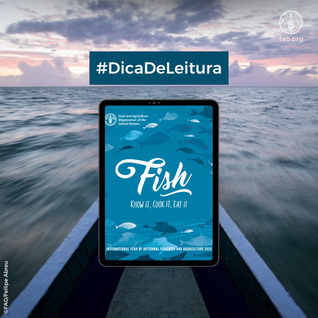 FAOBrasil's tweet photo. Para fechar o Ano Internacional da Pesca e Aquicultura Artesanais, que tal um livro de receitas?!  🎣🐟💙

Você vai encontrar informações, dicas e receitas típicas de várias partes do 🌎

👉 https://t.co/uNRTk5nkXb (disponível em inglês)

 #AIPAA https://t.co/XgEtUt1zTS