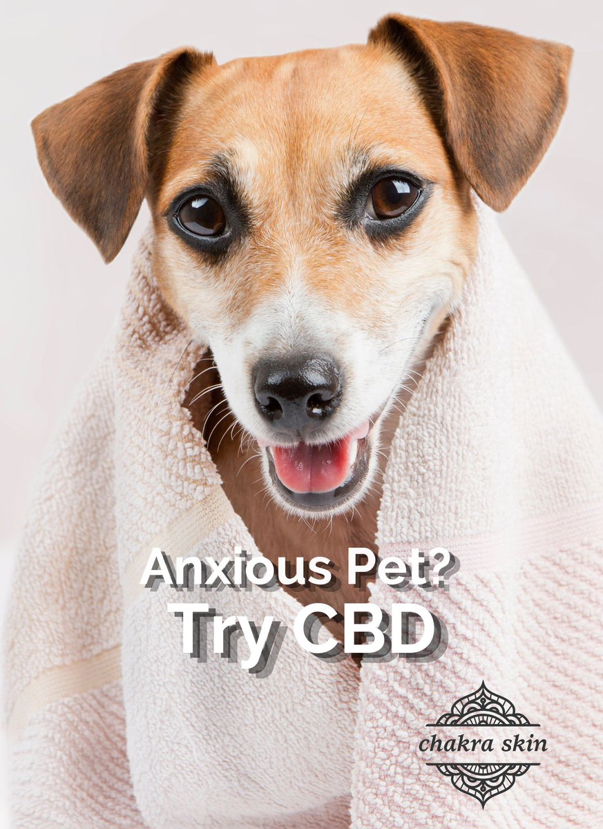 ChakraSkin's tweet photo. Will your pups be disturbed over New Years Eve? #trycbd https://t.co/btP2MnxUSe