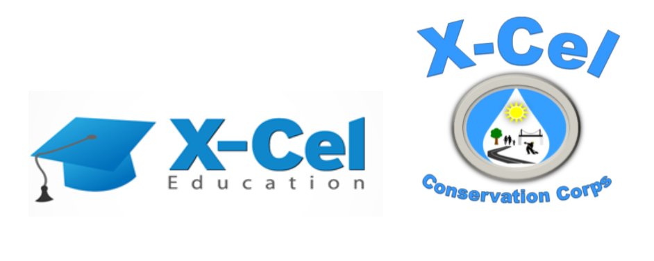 X-Cel Education tweet media