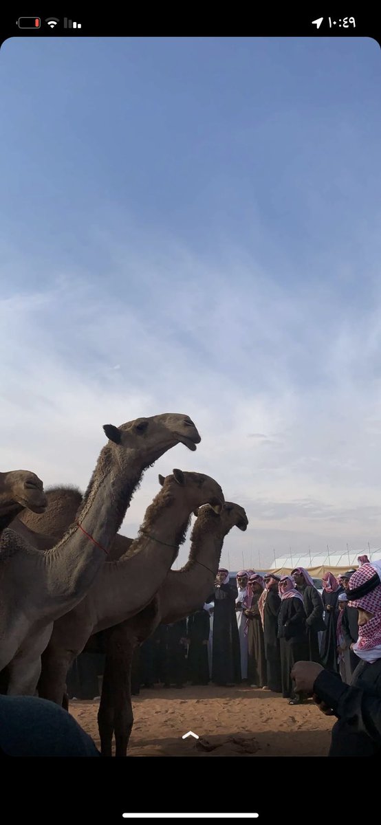 الصياهد👌🔥🔥.