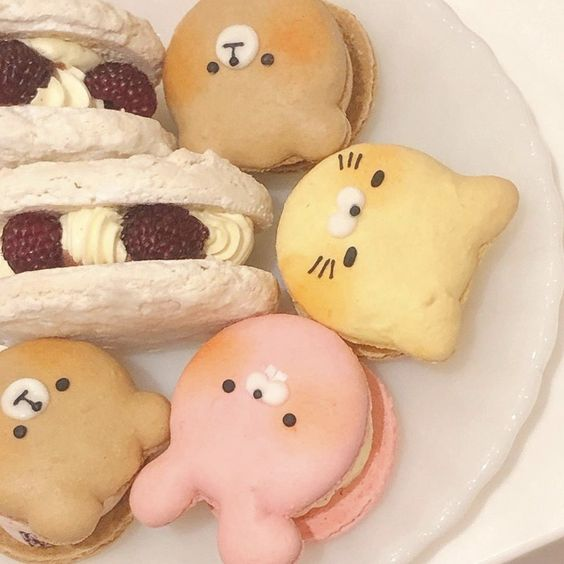 daily_dolce's tweet photo. Macarons by 14. day https://t.co/imz0DfH295