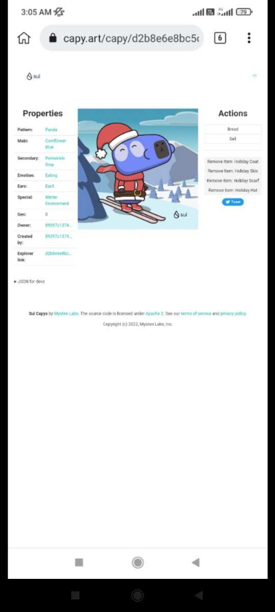 myeongae4's tweet photo. 🎁 I just unboxed my Sui Holiday Capy! ❄️ 
Create your own Capy here:  https://t.co/VV8ZK5kMC2 #CapyHolidays https://t.co/V8ndqvtRSH