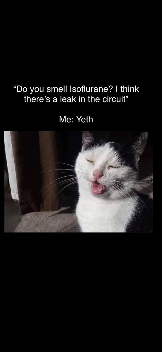 VetInternalMed's tweet photo. #vetmed #vettech #vetlife #veterinary #iloveveterinary #vetsnobiety #veterinarylife #veterinarymedicine #vetstudents #vetschool #dvm #veterinaria #veterinarios #veterinaire #vetgirl #vetnurse #instavet #vetsofinstagram #veterinario #veterinaryradiology #veterinarysurgery https://t.co/dBGAWWN5zL