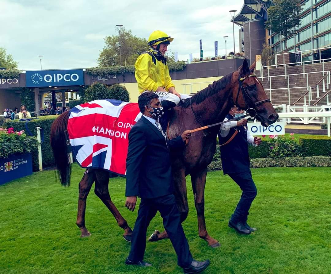 HORSERACING1002's tweet photo. ADDEYBB 🇮🇪 2014
(PIVOTAL - BUSH CAT BY KINGMAMBO) #Addeybb
B/ Rabbah Bloodstock, 🇮🇪 Feb 9, 2014 Gelding.
O/ AL Maktoom
T/ N. Haggas
TATOCT $321,930
28-13-5-4-----$4,719,266
Sandown Mile S G2, Rose of Lancaster S G3, Wolferton S, Ranvet S G1, Champions S G1, Doonside Cup, https://t.co/GrvKiS3hhZ