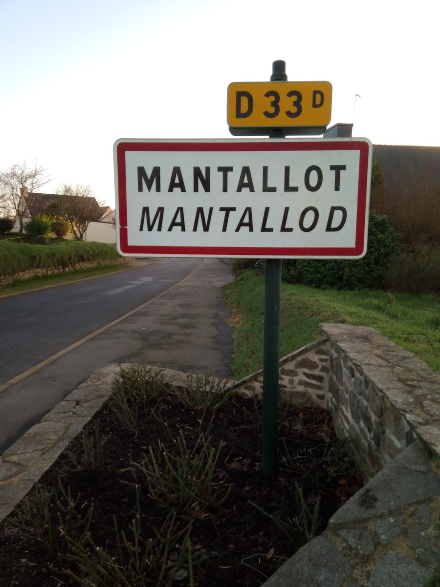 [L'ASTUCE]. Le soir du réveillon, si vous voulez éviter toute mésaventure liée à une consommation excessive d'alcool, misez sur une valeur sûre : la bonne vieille menthe à l'eau.😍 Pour info, cette charmante #commune se trouve dans les #CôtesdArmor.⬇️ #Mantallot #Bretagne