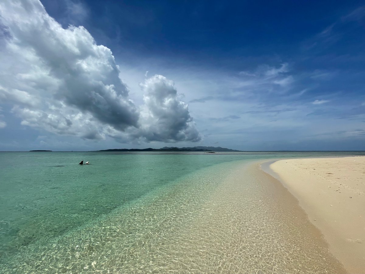 _timji's tweet image. Fiji doing what Fiji does. Amazing. ✨