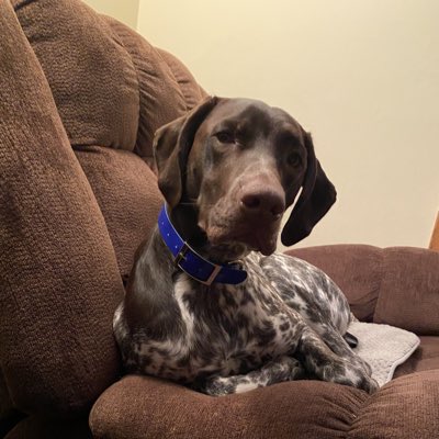 RugerTheGSP's tweet photo. #NewProfilePic https://t.co/tZKMrj2701