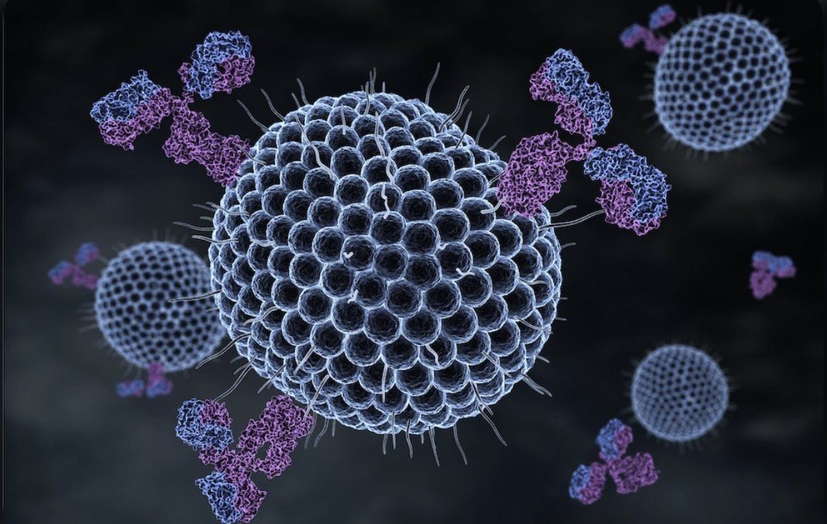 MUSAAED_2's tweet photo. مؤخرًا عاد مرض الهربس النطاقي Herpes Zoster او الحزام الناري Shingles  للظهور. سلسلة تغريدات تتحدث عنه، كيف اكتشف، مسببه، اعراضه، طريقة تشخيصه، وطرق الوقاية منه. https://t.co/NKSX5sPK7k